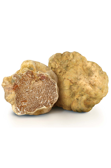 Tuber Magnatum Pico (white truffle)